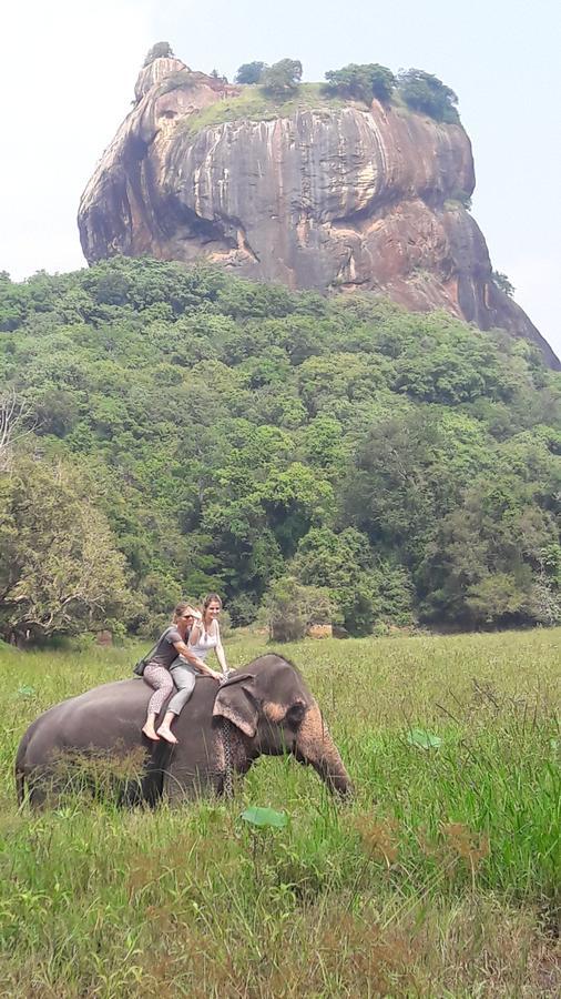Richwin Villa Dambulla Buitenkant foto